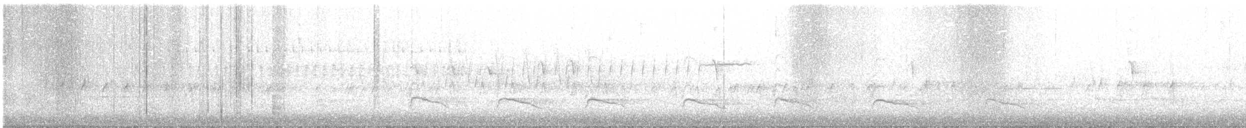 Fichtenkreuzschnabel (Typ 12) - ML156773301