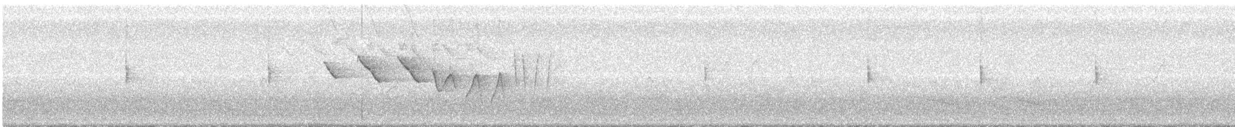 Трясогузковый певун - ML156813801
