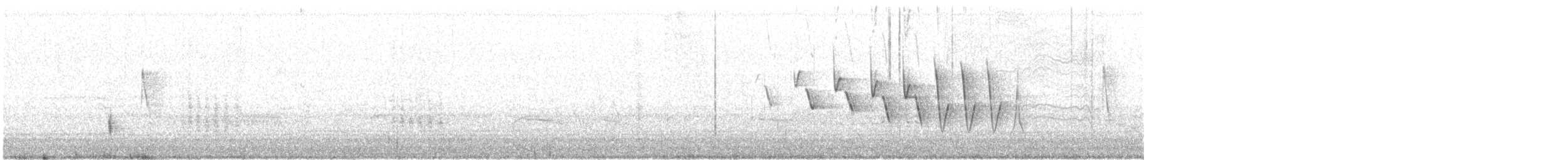 Drosselwaldsänger - ML156848311