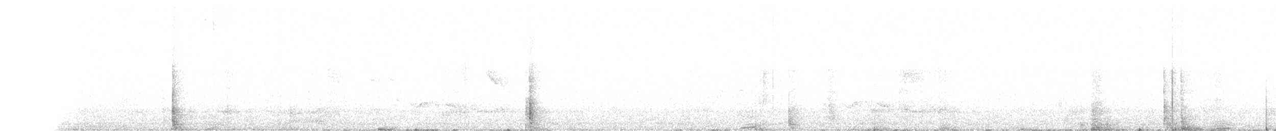 Kara Gagalı Koca Vireo - ML156852281