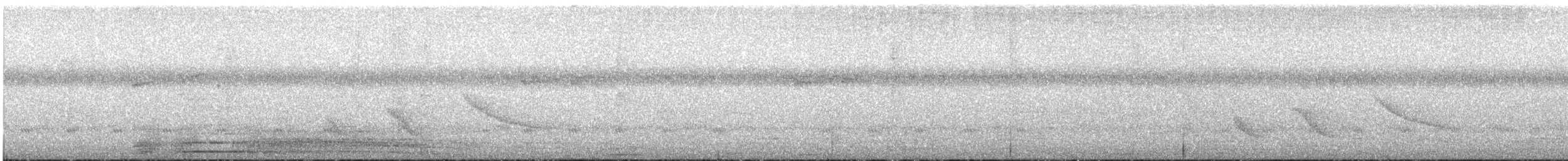 Kestane Karınlı Kolibri - ML156875881