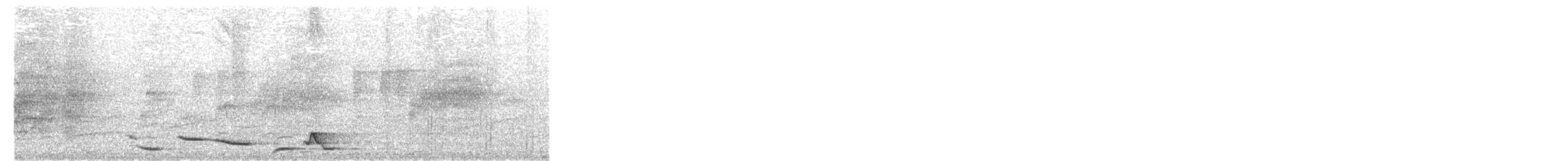 Kara Karınlı Çıtkuşu - ML156881301