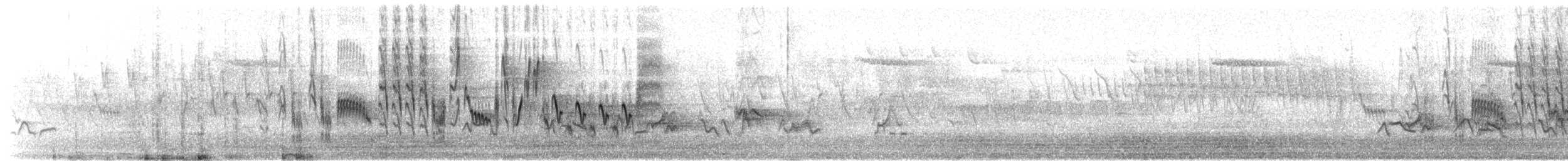 Northern House Wren - ML156894831