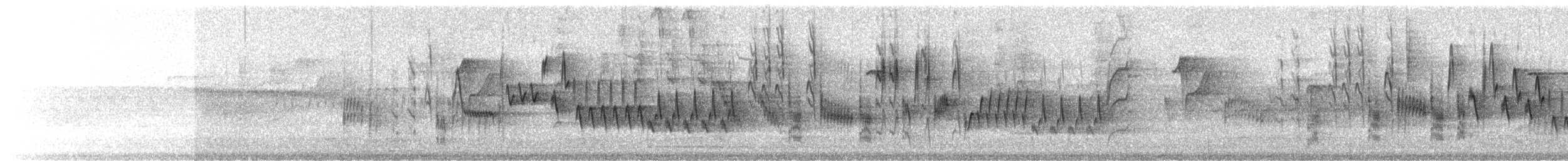 Northern House Wren - ML156895031