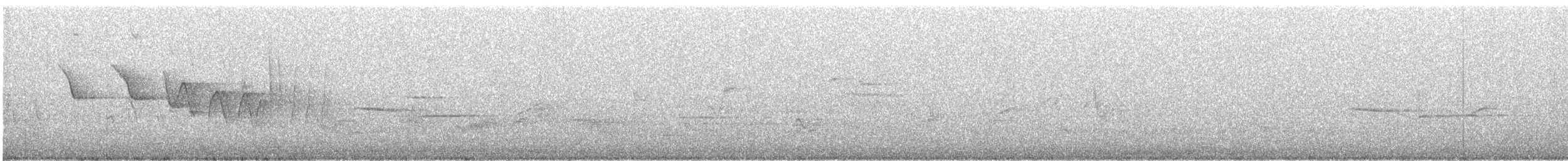Трясогузковый певун - ML156906761