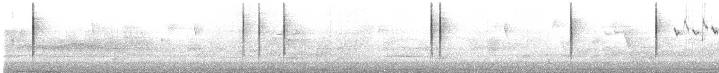 lesňáček černobílý - ML156949861
