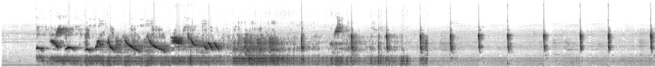 Northern Waterthrush - ML156953061