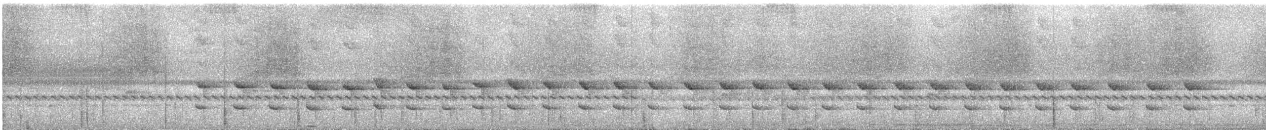 Western Woodhaunter - ML156982771