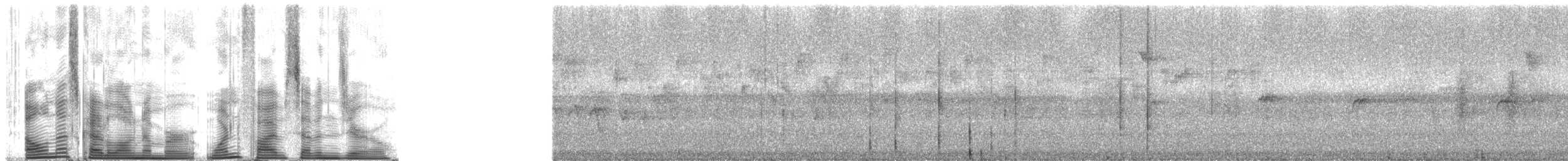 Olive Woodpecker - ML1570