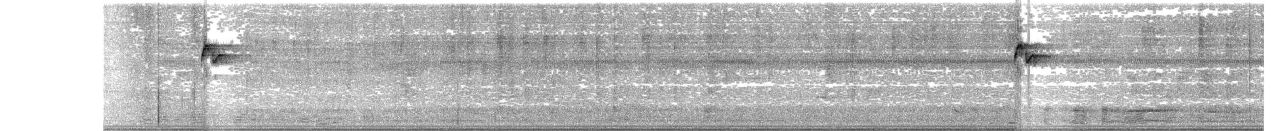 Ерміт світлочеревий - ML157068501