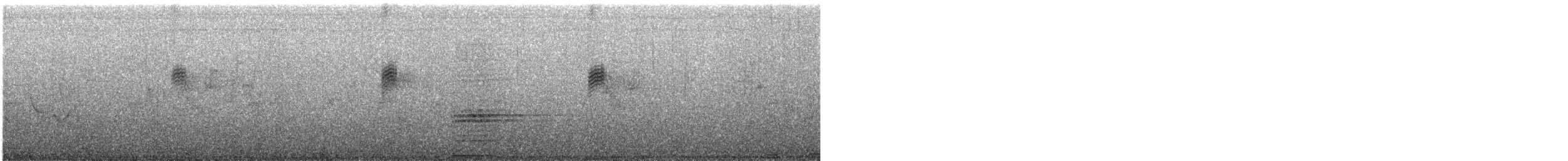Mirlo Acuático Pardo - ML157075781