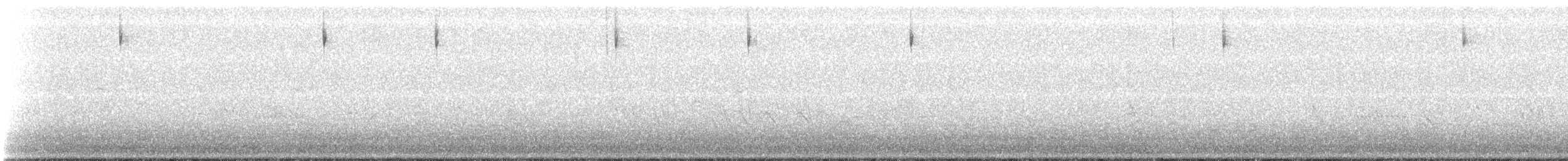 Savannah Serçesi [guttatus grubu] - ML157139361