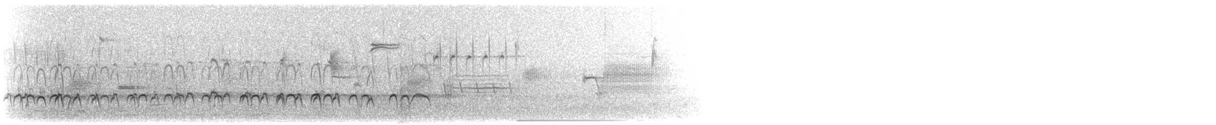 Black Oystercatcher - ML157186671