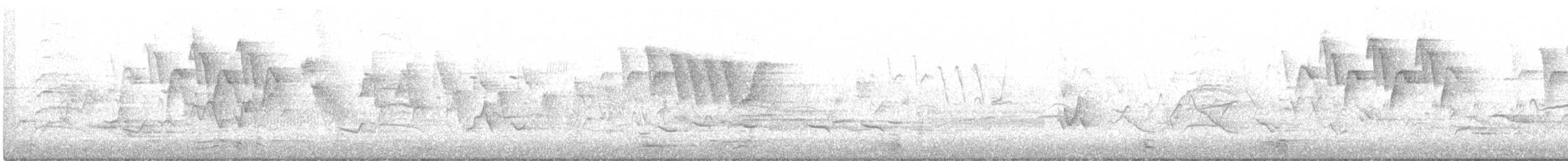 Чернокрылая пиранга - ML157275971