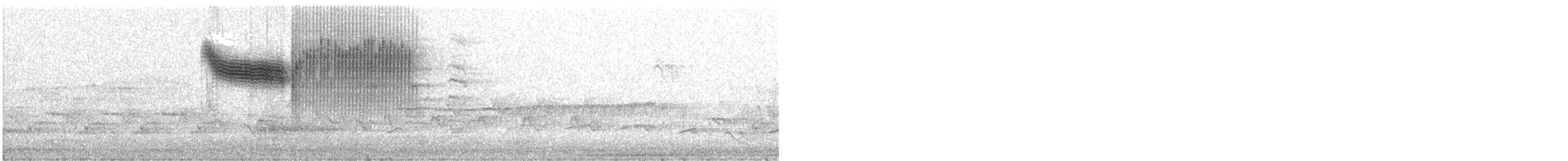 Blue-winged Warbler - ML157317511