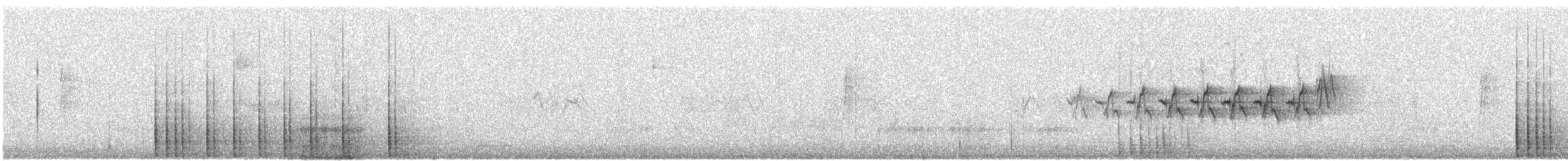 Дятел-смоктун білочеревий - ML157368291