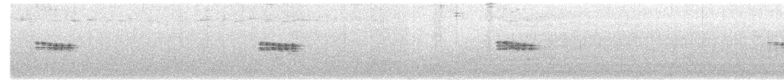 Mirlo Acuático Norteamericano - ML157390491