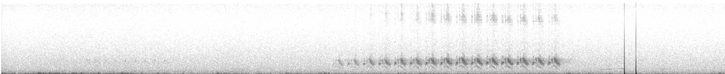 サボテンミソサザイ - ML157391871