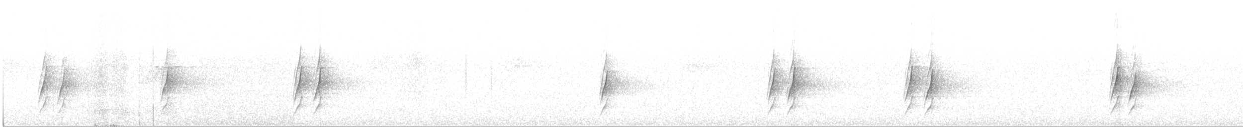 Orthonyx de Temminck - ML157425521