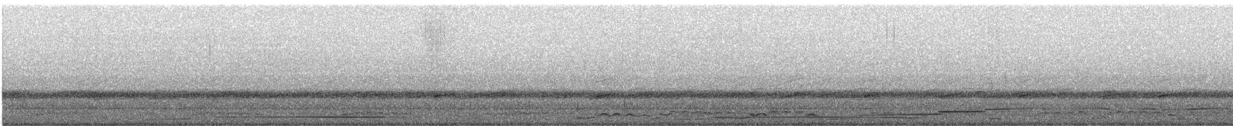 Common Loon - ML157447061