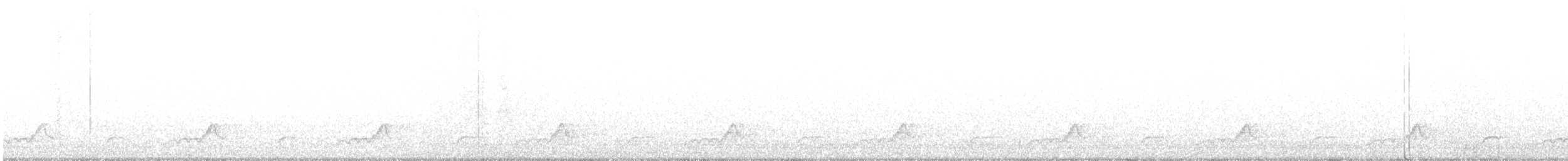 Schwarzkehl-Nachtschwalbe - ML157497051