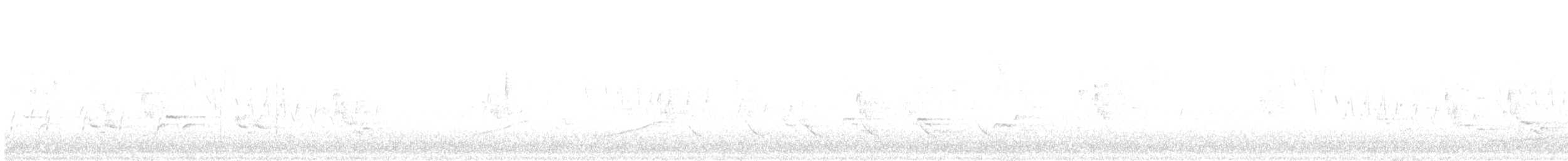 Sarı Karınlı Sinekkapan - ML157516281