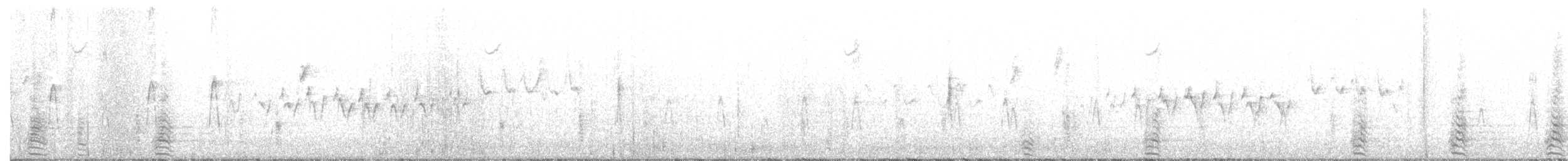 Mavi Kanatlı Ördek - ML157612111