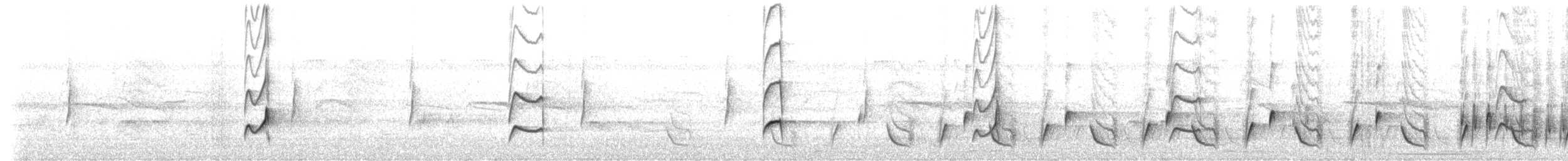 Rotnacken-Zaunkönig (Sclaterzaunkönig) - ML157623311