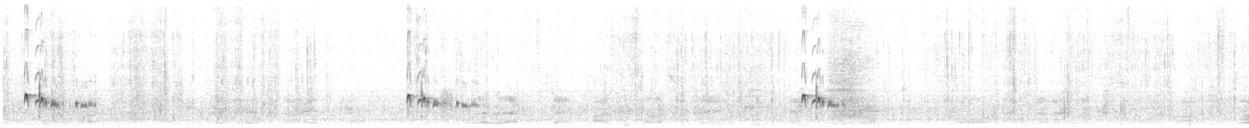 Ash-throated Flycatcher - ML157784801