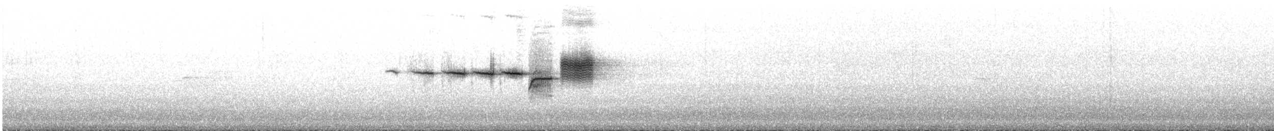 Black-throated Green Warbler - ML157803901