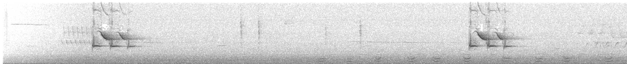 Тауї плямистий - ML157857551