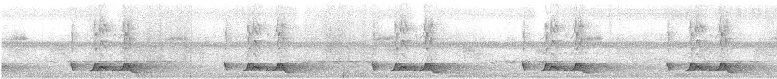 Chuck-will's-widow - ML158005371