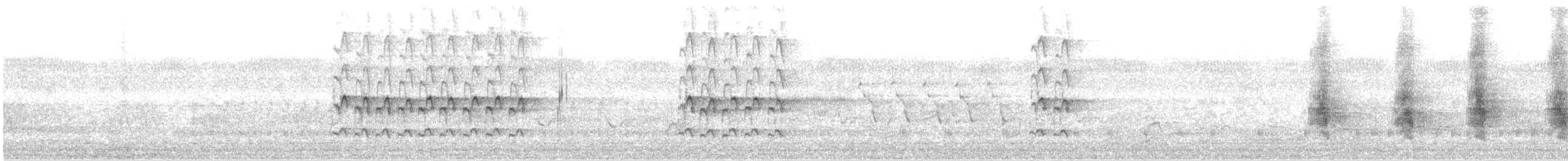 Northern Mockingbird - ML158005521