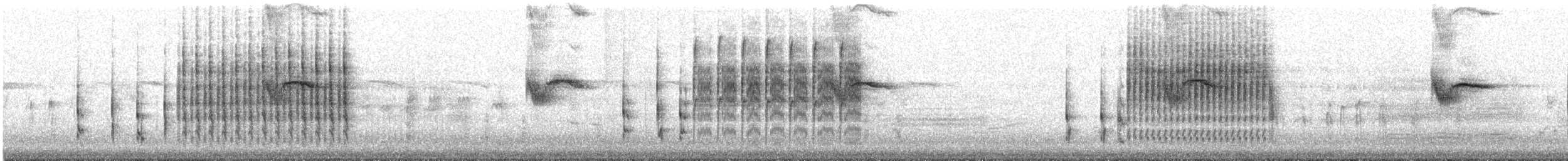 Troglodyte des marais - ML158016561