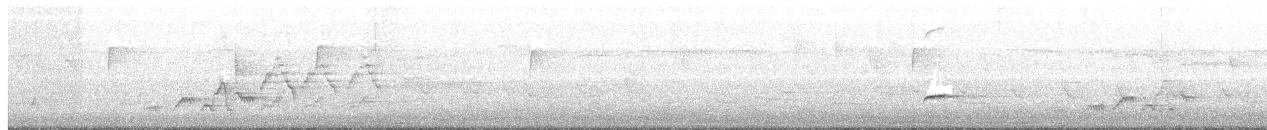brunkinnskogtrost (swainsoni gr.) - ML158054311