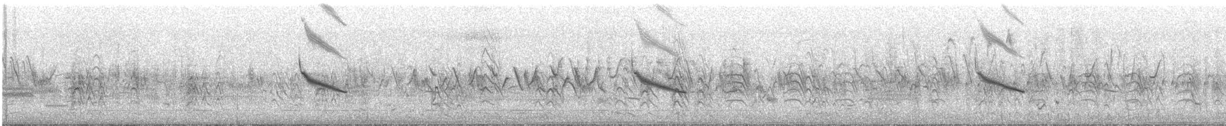 Trauerseeschwalbe (surinamensis) - ML158086921