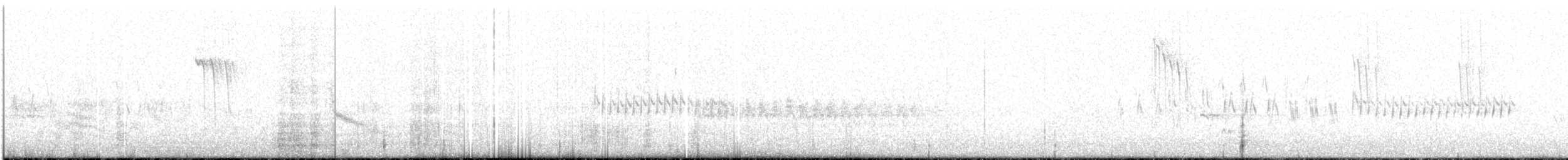 Lucifer Hummingbird - ML158163681