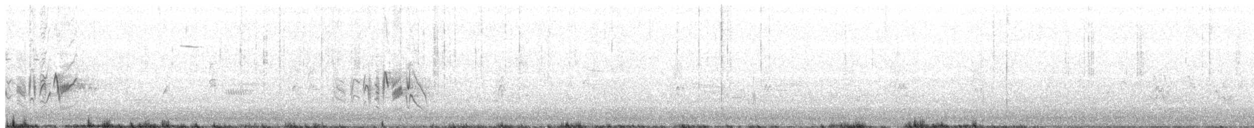 Bell's Vireo - ML158174541