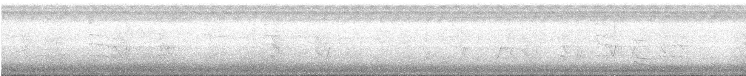 セスジツバメ - ML158450671