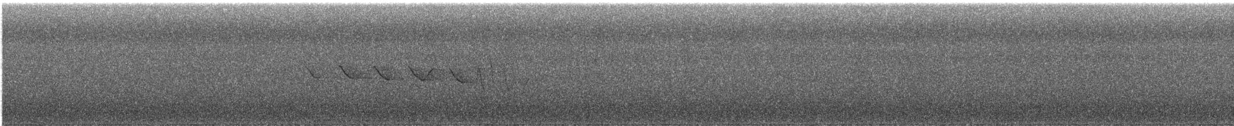 Трясогузковый певун - ML158454911