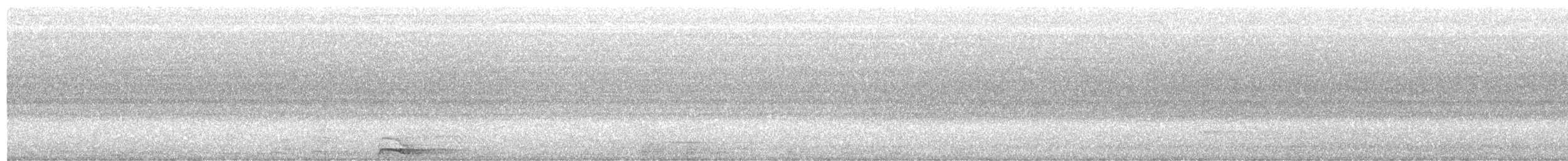 領角鴞 - ML158455001