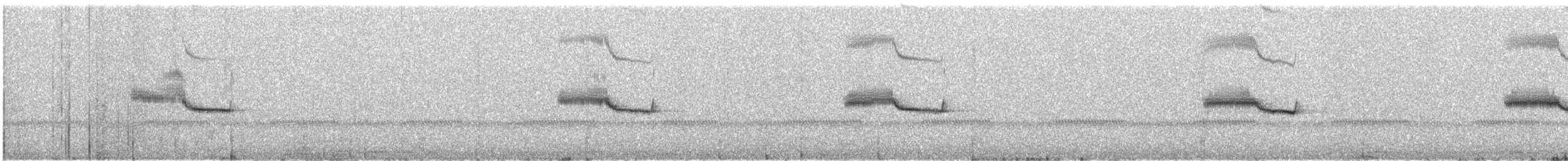 Breitspiegel-Nachtschwalbe - ML158482031