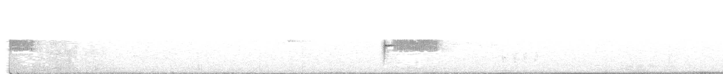Тауї плямистий - ML158502791