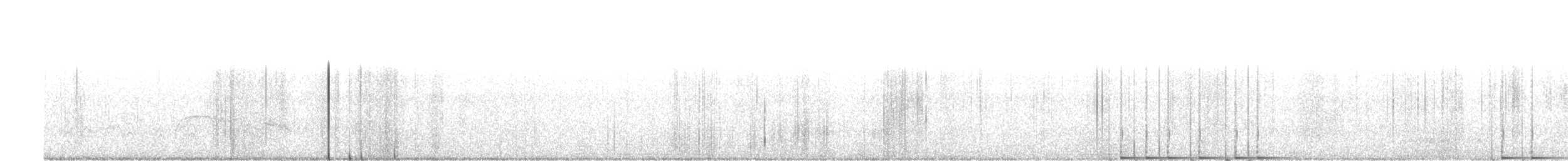 Western Wood-Pewee - ML158628821