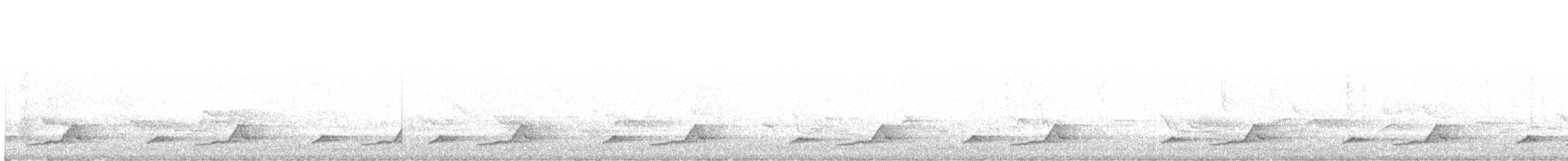 Schwarzkehl-Nachtschwalbe - ML158655261