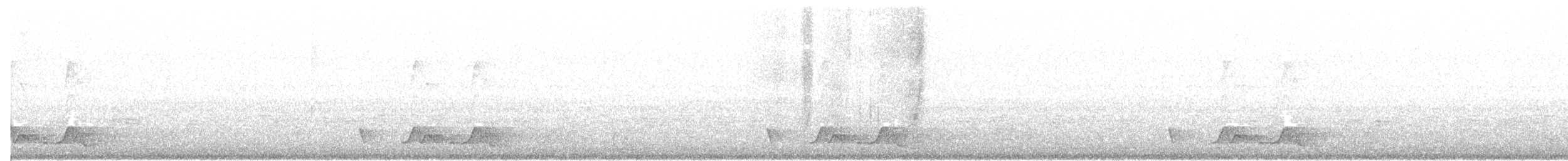 Carolinanachtschwalbe - ML158712331