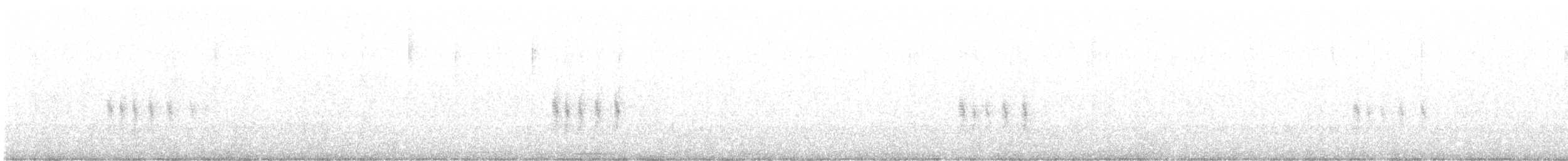Antillennachtschwalbe - ML158821791