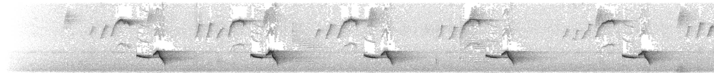 Серогрудый крапивник - ML158848431