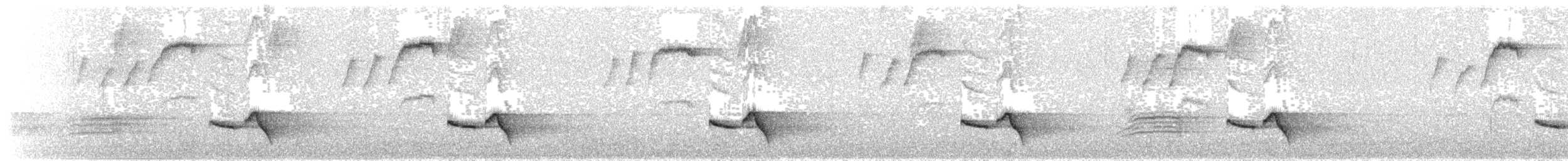 Серогрудый крапивник - ML158848441