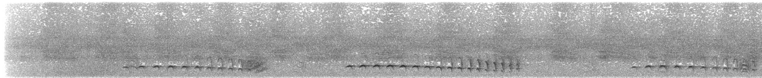 Olivgrau-Ameisenvogel - ML158848681